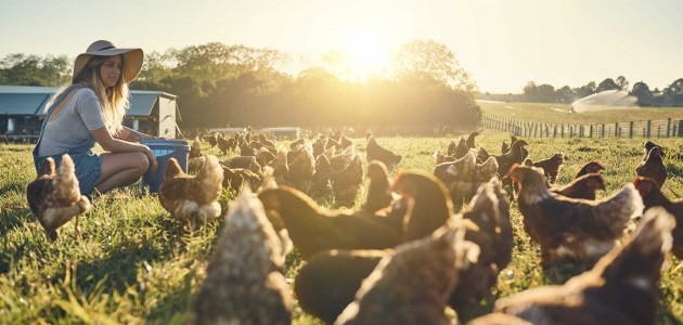 Eine Bäuerin mit Sonnenhut kniet auf einer Wiese mit Hühnern. 