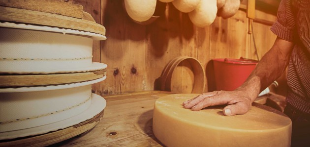 Hände berühren einen Käseleib, im Hintergrund sieht man traditionelle Utensilien für das Käsen.