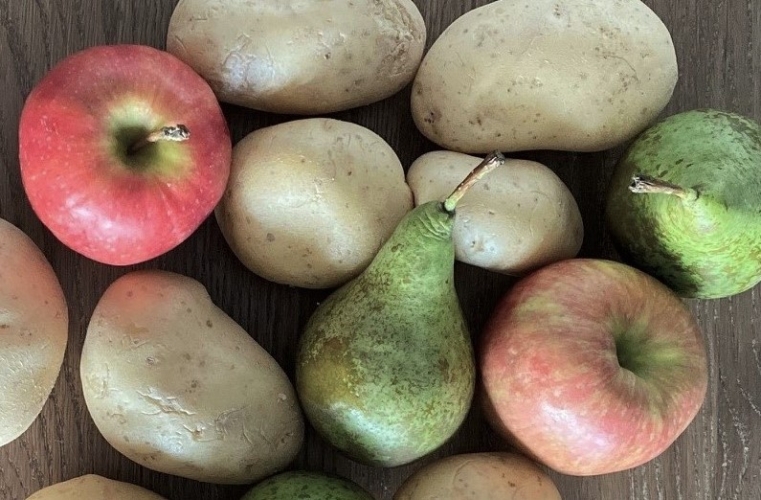 Branchenreglement Früchte, Gemüse und Kartoffeln angepasst