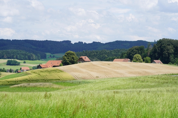 Projekt Weiterentwicklung Suisse Garantie