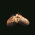 Schweizer Brotgetreide